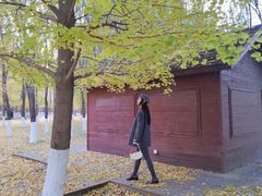 -长白岛森林公园