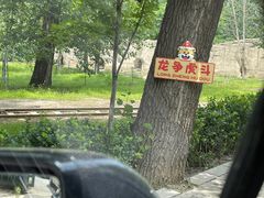 -秦皇岛野生动物园