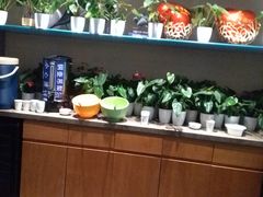 -大鸭梨烤鸭(顺义石园店)