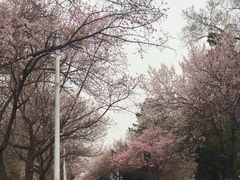 -吉林大学(南岭校区)