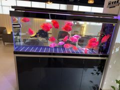 -上海和展广汽丰田4S店(老闵行店)