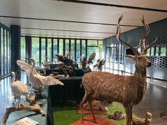 -云溪植物园