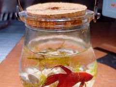 -卡普里披萨·牛扒·下午茶