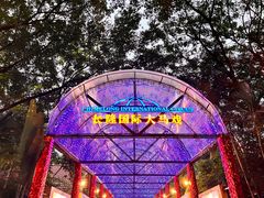 -广州长隆国际大马戏