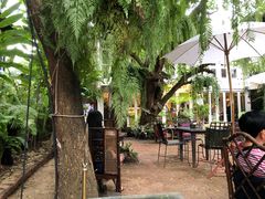 -Fern Forest Cafe