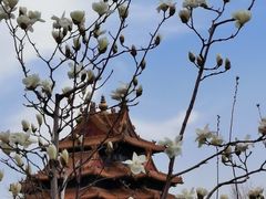-东华门大街小区