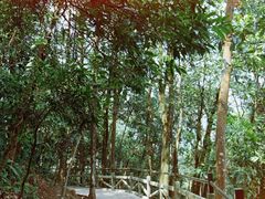 -四会奇石河风景区