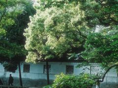 -西园戒幢律寺