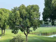 -旭宝高尔夫俱乐部