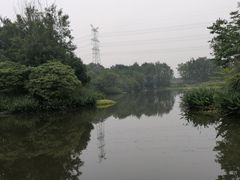 -桤木河湿地公园