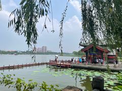 -济南大明湖景区