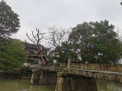 -汇龙潭