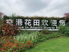 -空港花田景区