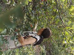 -大岭沟猕猴桃谷风景区