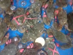 -宾朋海鲜特色美食餐厅·纯手工鲅鱼水饺(兴海路店)