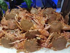 -加餐海鲜自助(宝龙一城店)