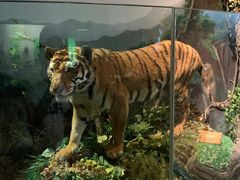 -陕西自然博物馆