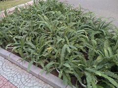 -辽宁大学(崇山校区)