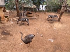 -昆明动物园