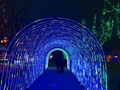 -天王浮山樱花园