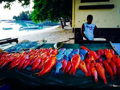 -毛里求斯小四川餐厅总店