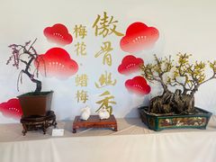 -颐和园