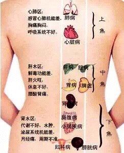 -香薇妮丝·定制减肥·身材管理