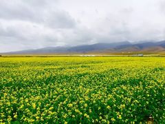 -青海湖国家重点风景名胜区