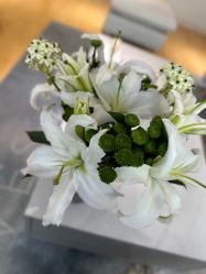 -HEYAN长风荷妍专业脱毛美肤

