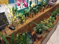 -BOBLOOM花店(宝龙旭辉广场店)