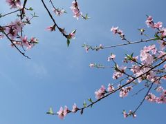 -石潭村