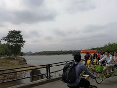 -松山湖南湖湾露营营地