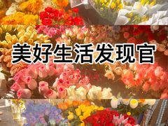 -循礼门鲜花花市(武汉循礼门店)