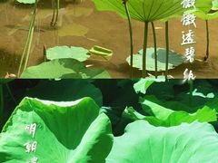 -龙头寺公园