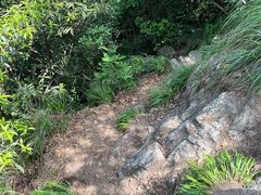 -午潮山国家森林公园