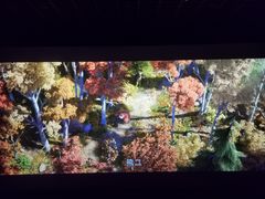 -金逸影城(光美江宁IMAX店)