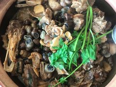 田螺焖鸭-潮记农庄