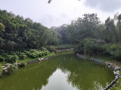 -大兴滨河森林公园