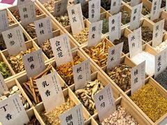 -呀路古热带植物园