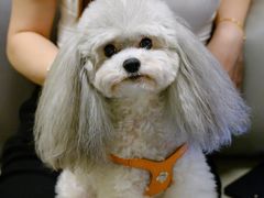 -木兰逸•泰式按摩•头疗•SPA(车公庙店)