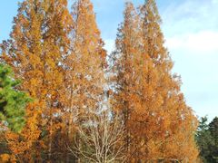 -国家植物园南园