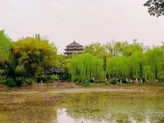 -桂湖森林公园