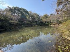 -杭州半山国家森林公园