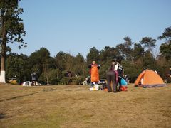 -铁山坪森林公园