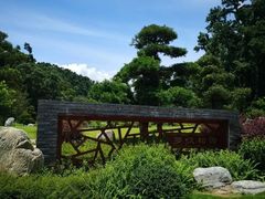 -深圳仙湖植物园