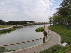 -仙湖旅游度假区