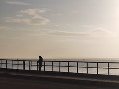 -东郊椰林