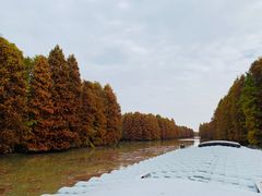 -上海海湾国家森林公园