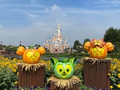 -上海迪士尼度假区