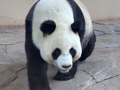 -宁波野生动物园